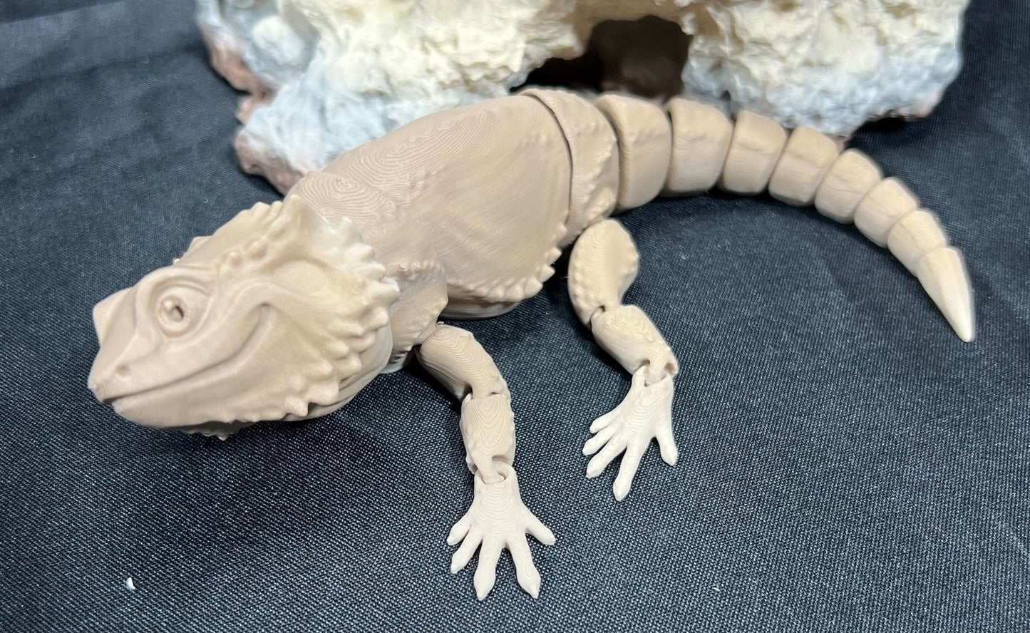 Bearded Dragon matte