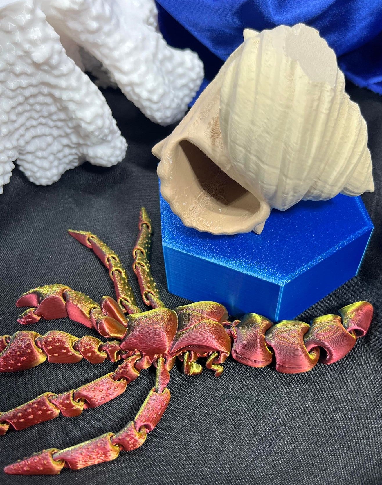 Hermit Crab Natural Shell