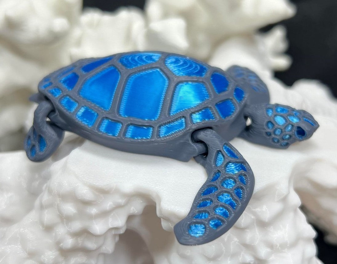 Single Multicolor Baby Turtle