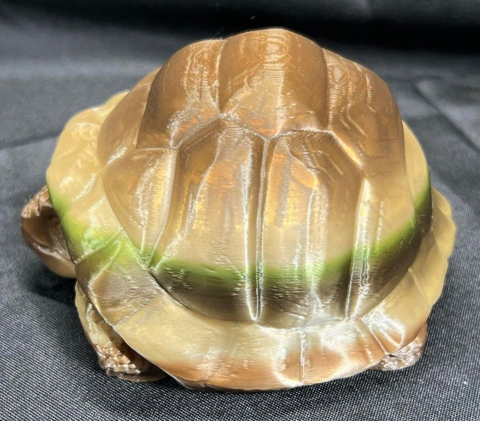 Tortoise