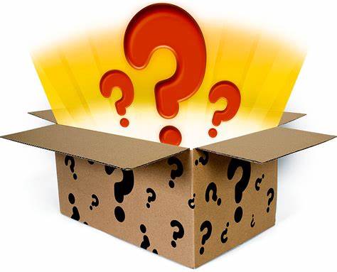 $100 Surprise Mystery Box